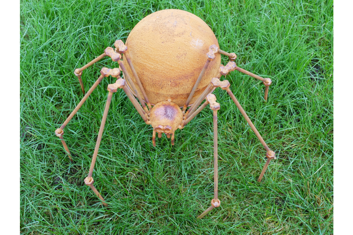 Rusty Spider