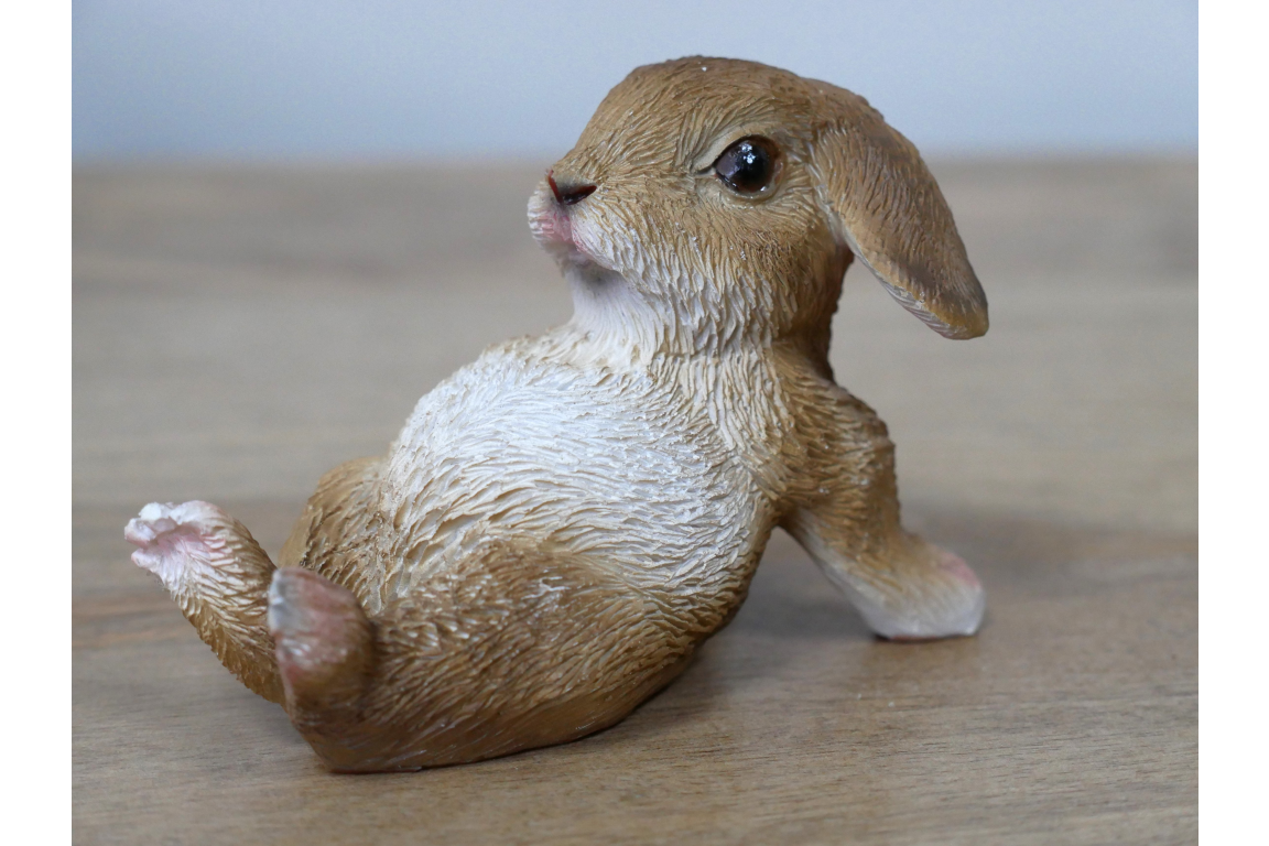 Mini Rabbits