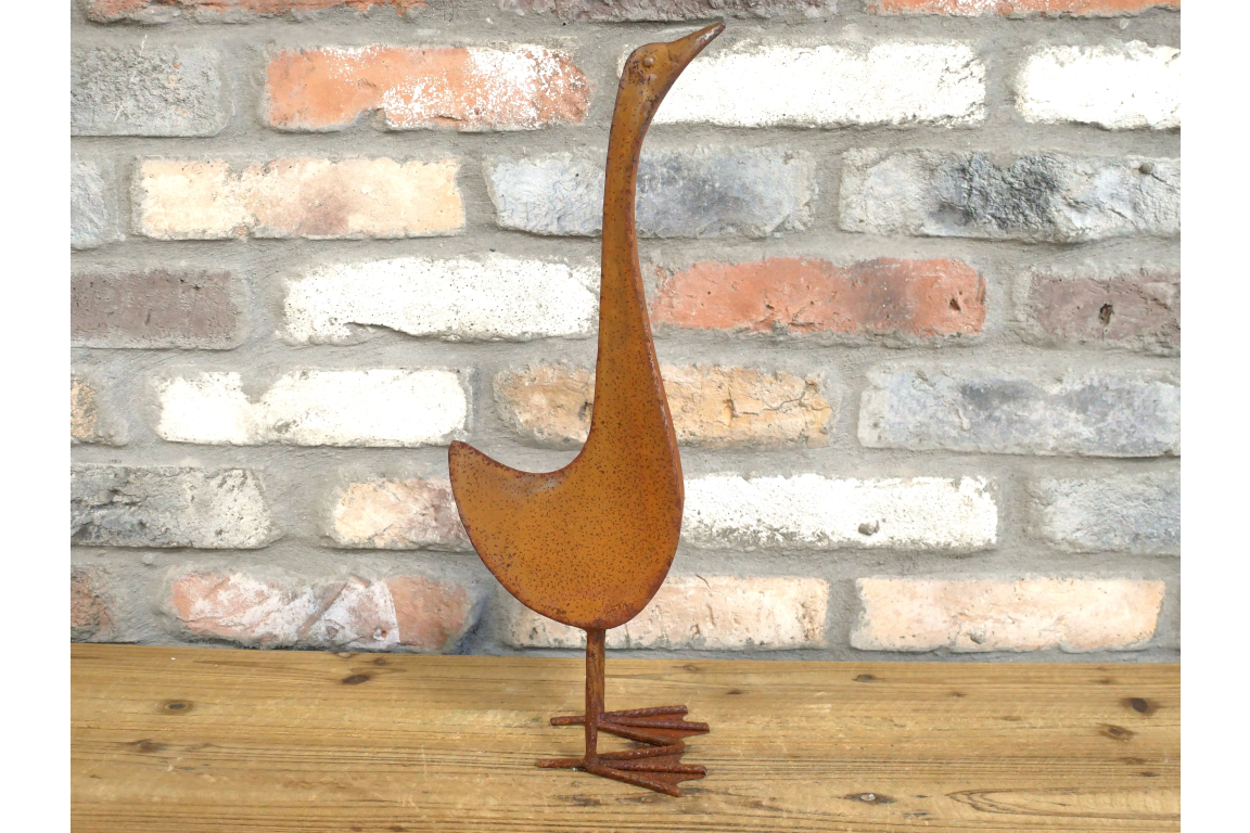 Small Rusty Bird
