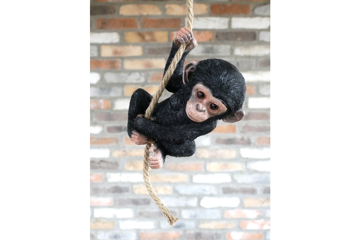 Baby Monkey On A Rope