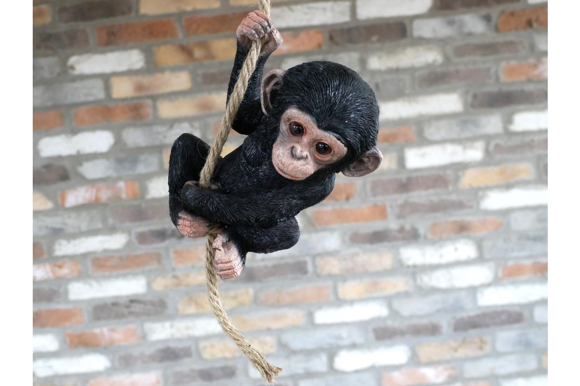Baby Monkey On A Rope