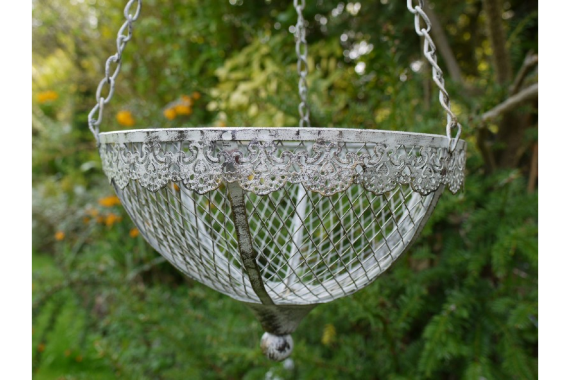 Hanging Basket