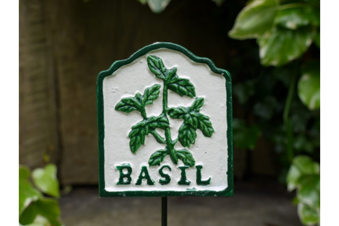 Herb Sign (Basil)
