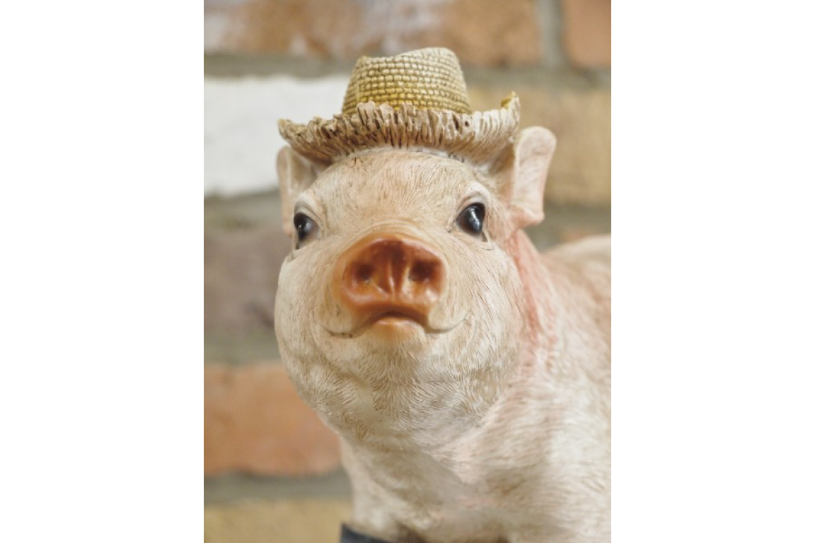 Pig In Wellies