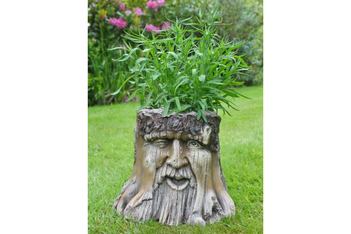 Tree Stump Planter