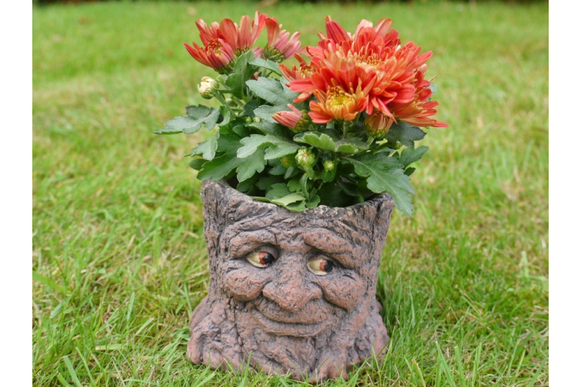 Tree Stump Planter