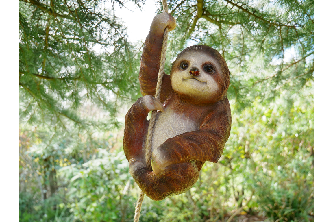 Climbing Sloth
