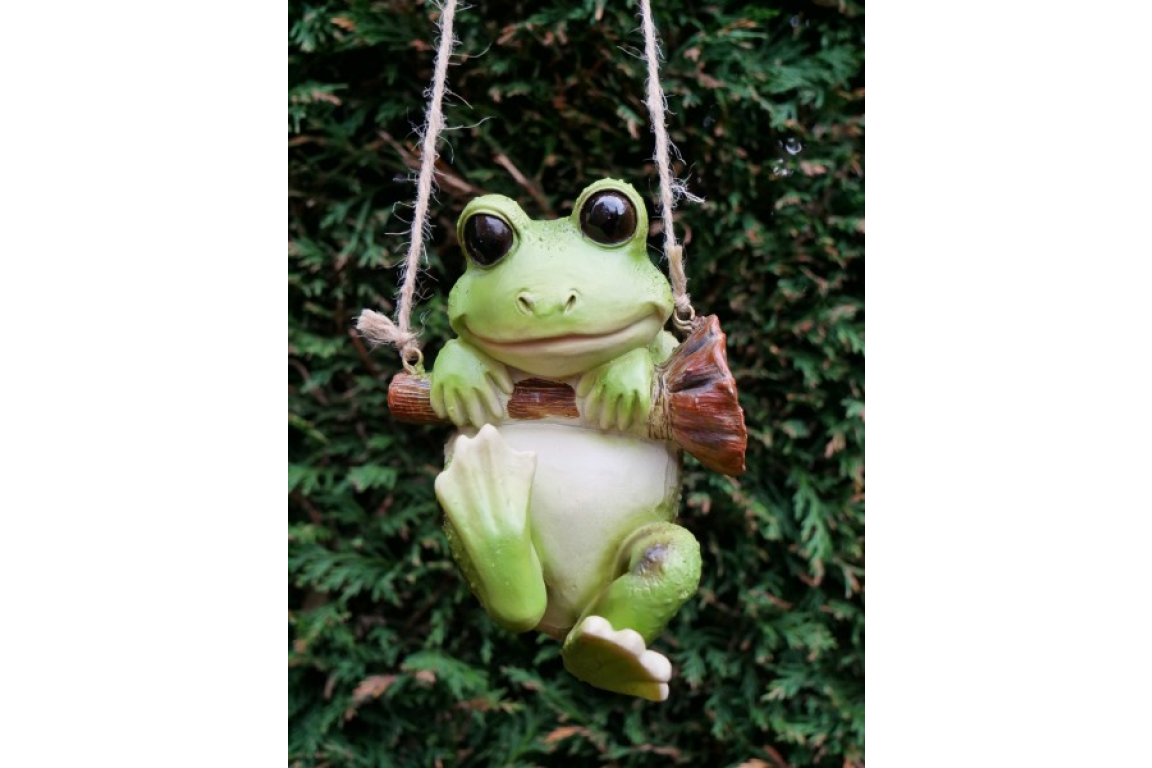 Hanging Frog