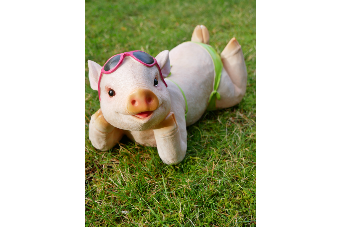 Pig In Bikini