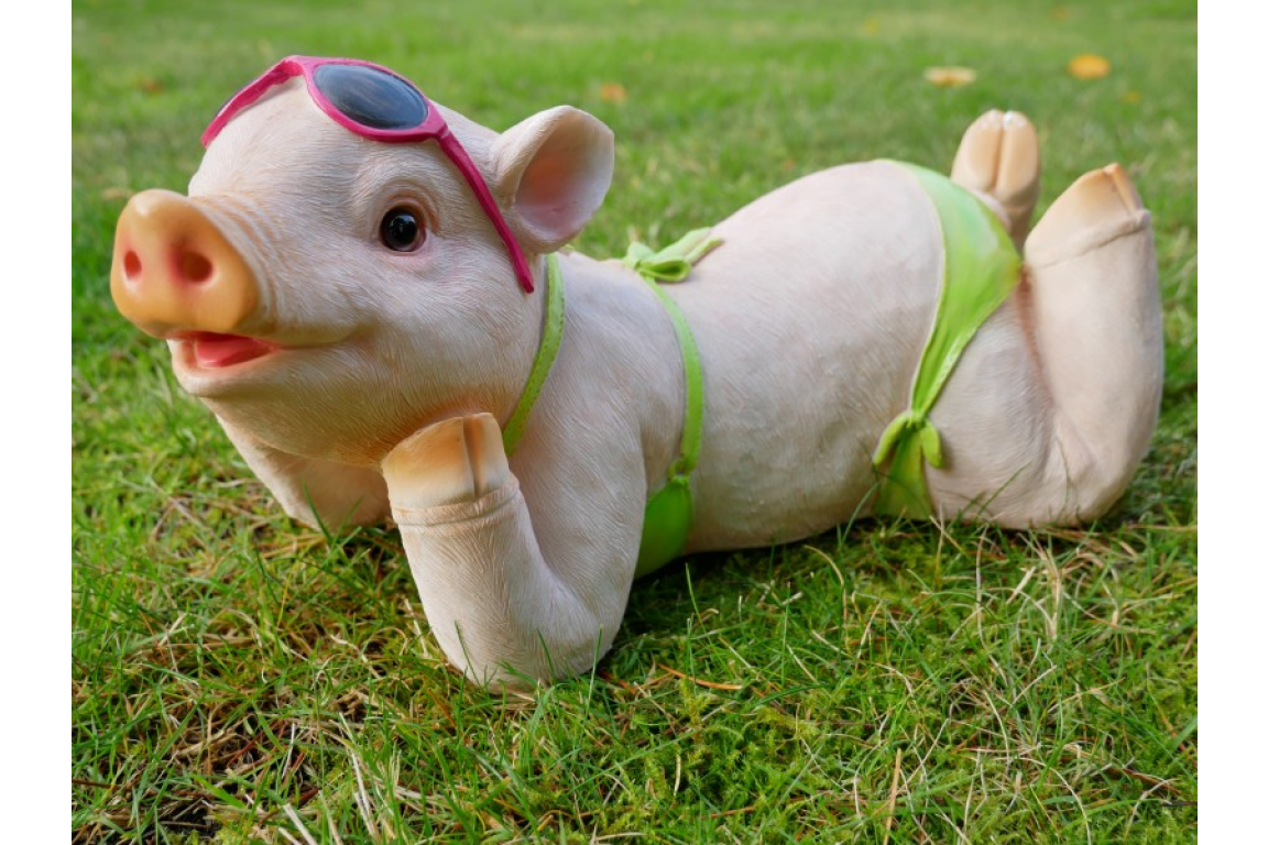 Минипиг пятнистый. Pig 1. Э свинья. Pig 1. Touch the cow.