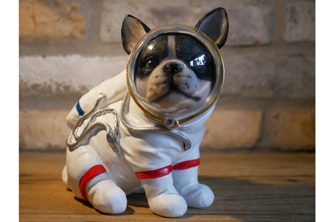 Space Dog