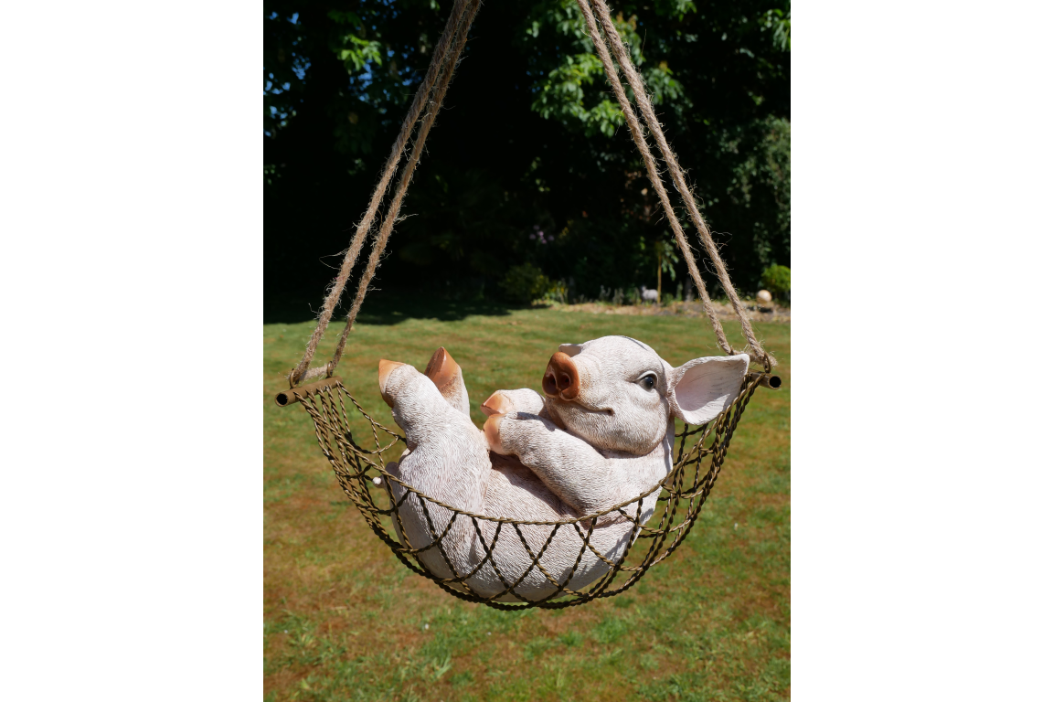 Pig In Hammock