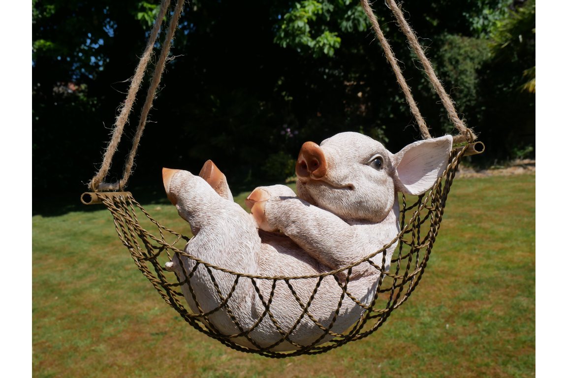 Pig In Hammock