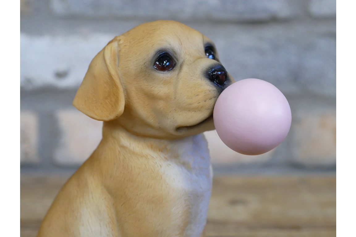 Bubblegum Dog